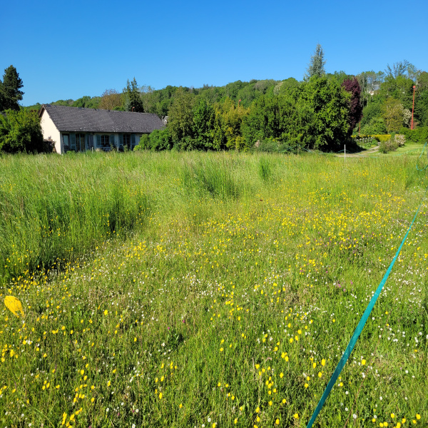 Offres de vente Terrain Longueville-sur-Scie 76590